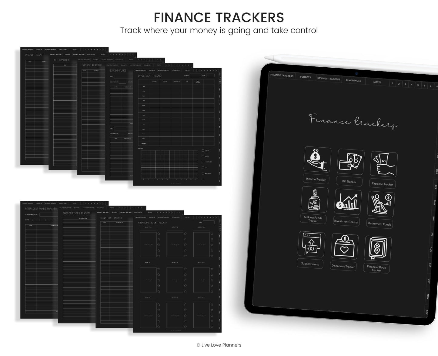 Paycheck Budget (Dark Mode)