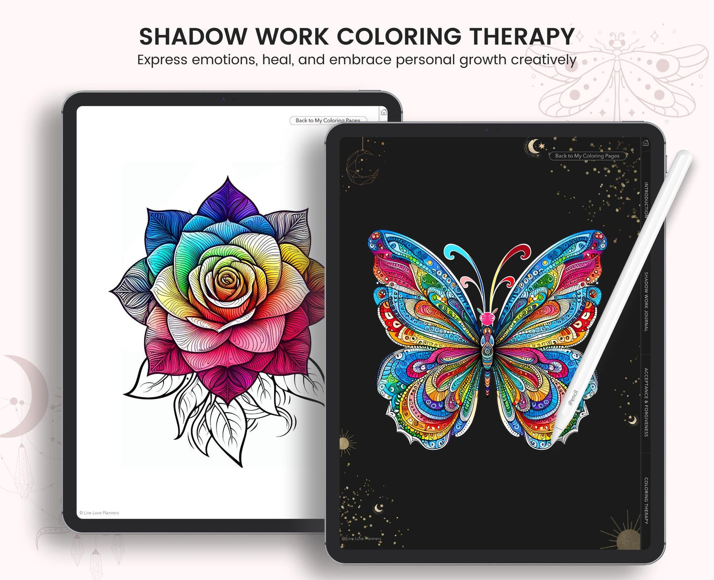 Shadow Work Journal