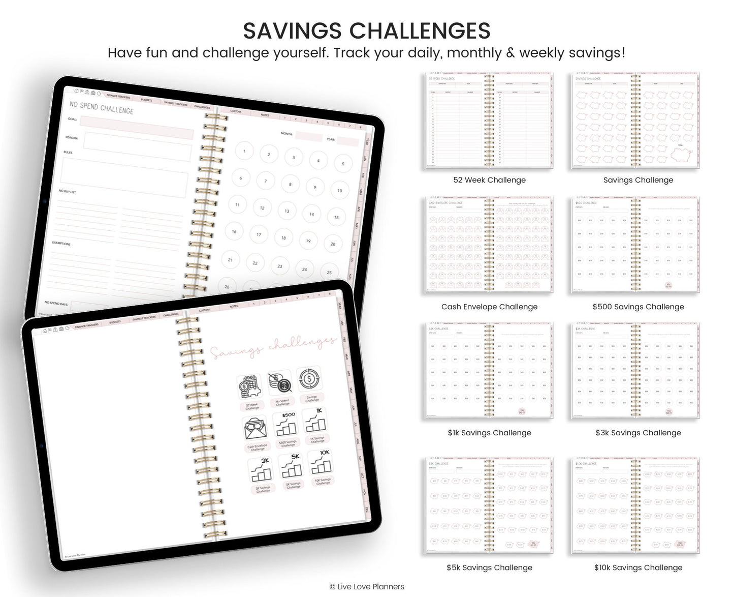 Digital Budget Planner (Landscape)