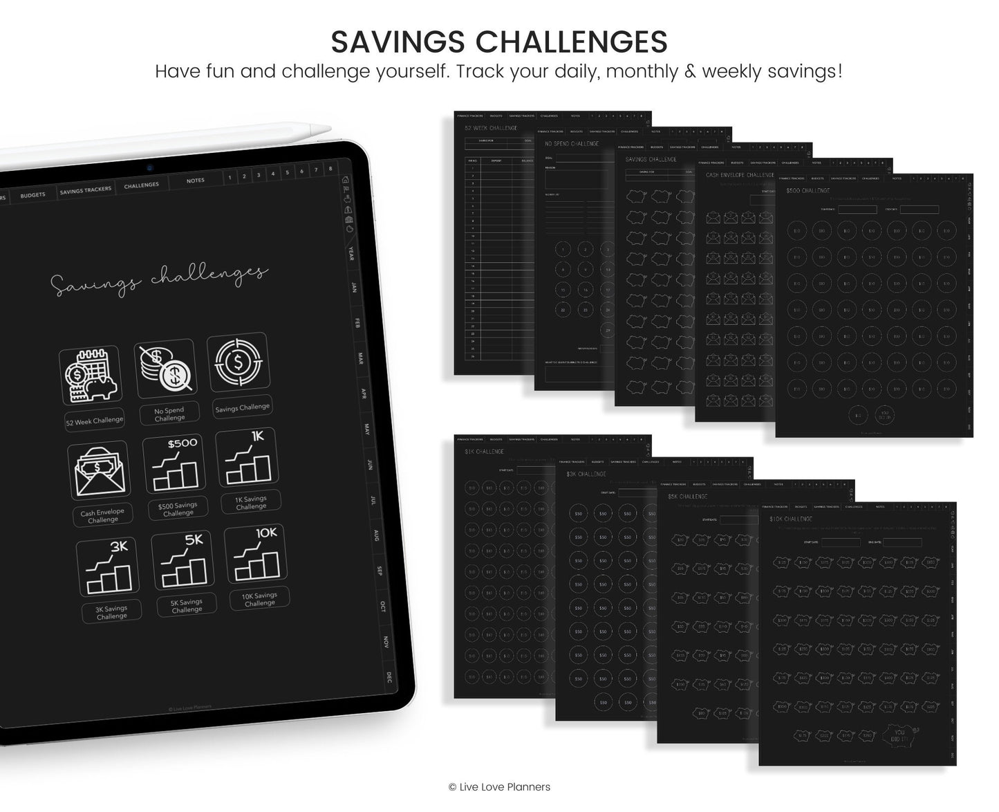 Paycheck Budget (Dark Mode)