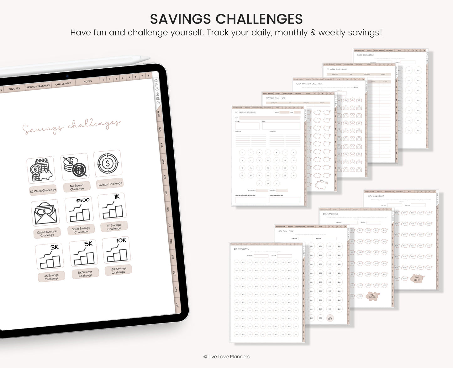 Digital Budget Planner (BOHO)